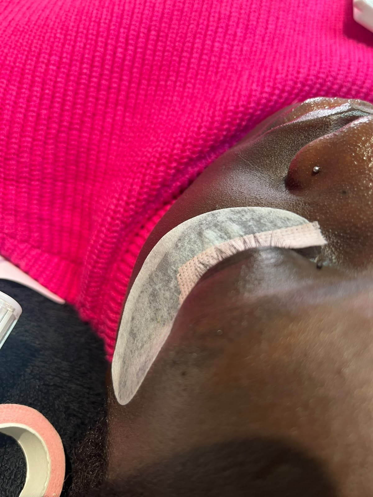 Close-up of eyelash extensions being applied with under-eye pad